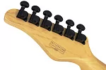Электрогитара SCHECTER PT M/M BLK 11