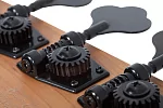 Бас-гитара SCHECTER P-4 EXOTIC FVSB 13