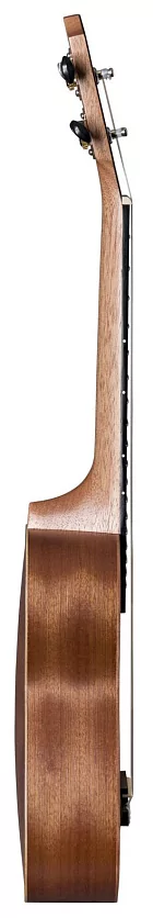 Укулеле BATON ROUGE V1-S Nat 2