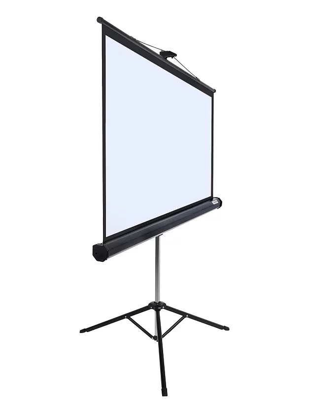 [LMV-100113] Экран на штативе Lumien Master View 2