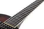 Электрогитара SCHECTER SOLO-II SUPREME CEB 12