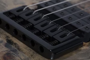 Электрогитара SCHECTER C-6 PRO ARB 4