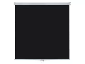 [LMP-100118CSR] Настенный экран Lumien Master Picture CSR 6