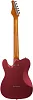 Электрогитара SCHECTER PT SPECIAL SCAR 2