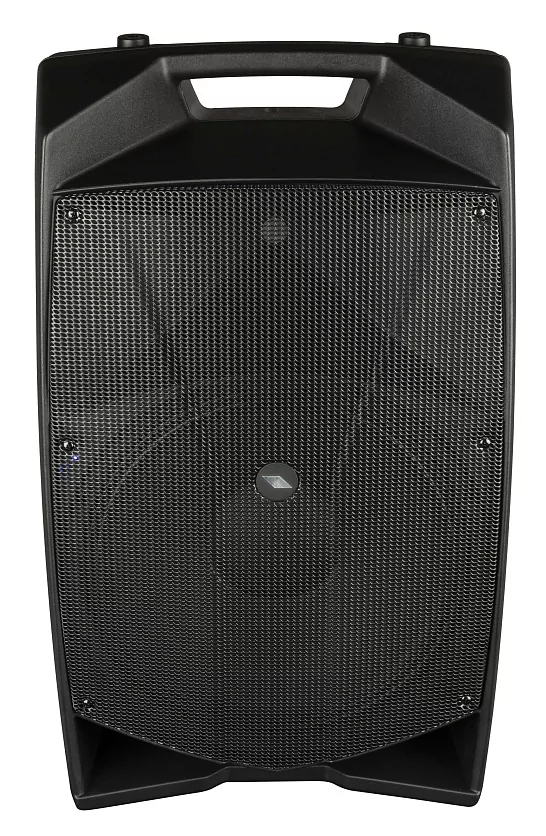 Активная акустическая система PROEL V15PRO 2