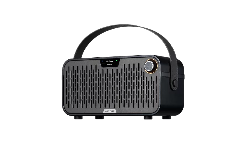 Моделирующий усилитель Hotone Pulze Jr. BK 8