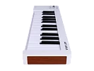 MIDI клавиатура Arturia MicroLab 3 White 10