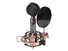 Профессиональный студийный конденсаторный микрофон Icon Aurora