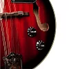 Электроакустическая мандолина STAGG M50 E 3