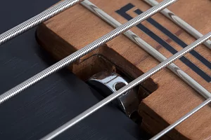 Бас-гитара SCHECTER P-4 EXOTIC FVSB 2