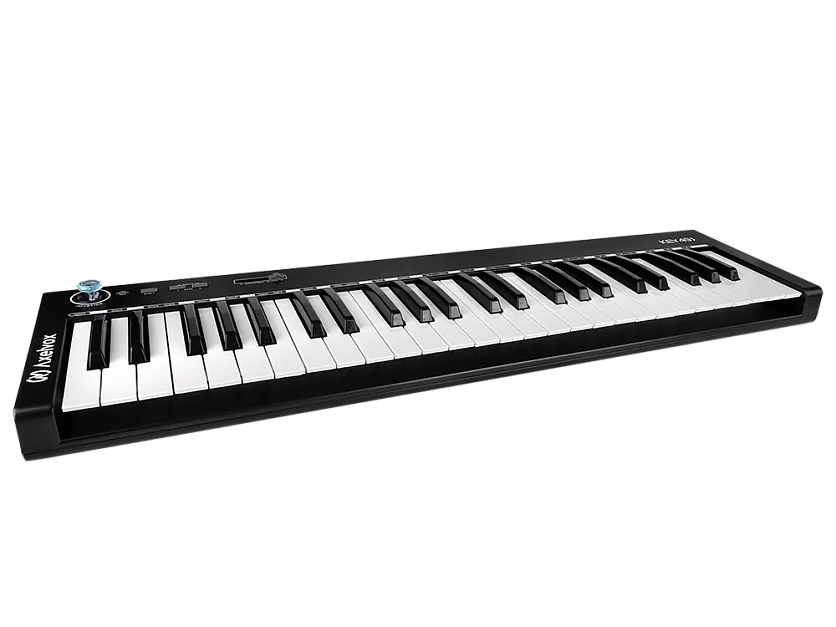 MIDI клавиатура Axelvox KEY49j Black 2