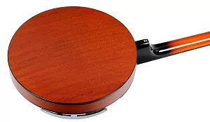 Банджо STAGG BJW-24 DL 5