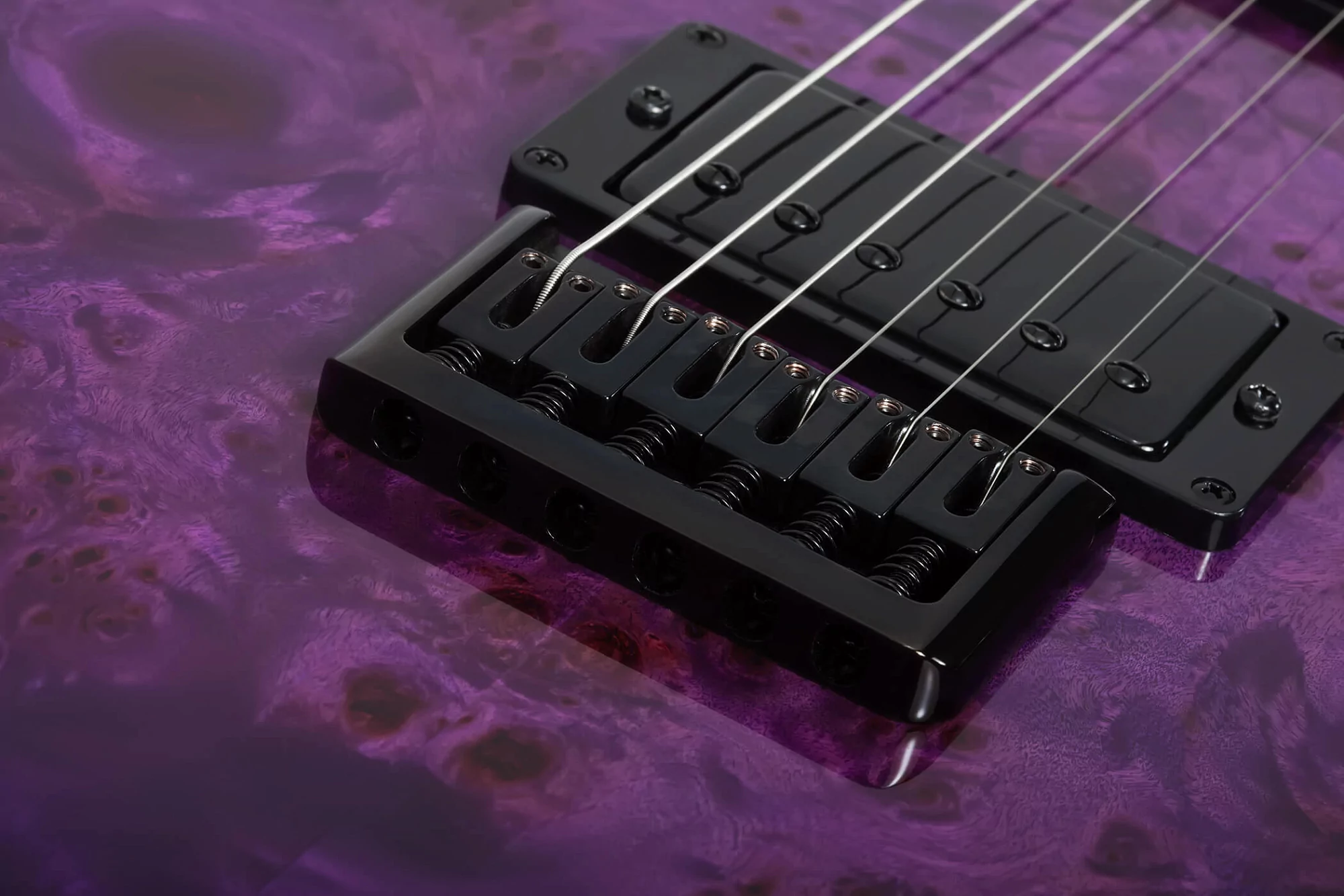 Электрогитара SCHECTER PT STANDARD PURPLE BURST BURL PBB 10