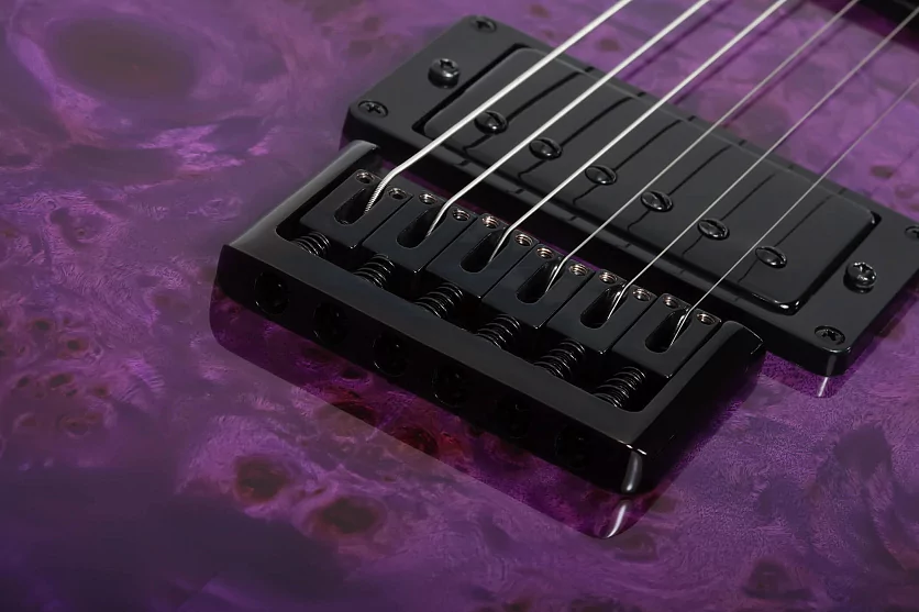Электрогитара SCHECTER PT STANDARD PURPLE BURST BURL PBB 10