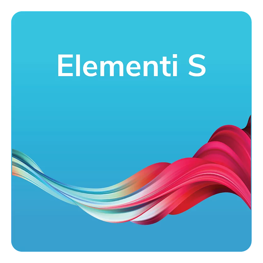 Ключ активации Elementi S Spinetix SX-SW-EL-S