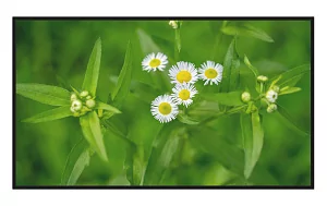 Профессиональная панель Lumien LB43 2