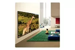 Телевизор LG 100QNED85B6.ARUG 4