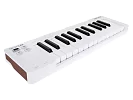 MIDI клавиатура Arturia MicroLab 3 White 2
