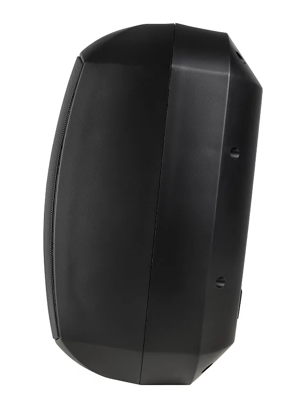 Акустическая система Intrend ITSPK-MSK8-B 6