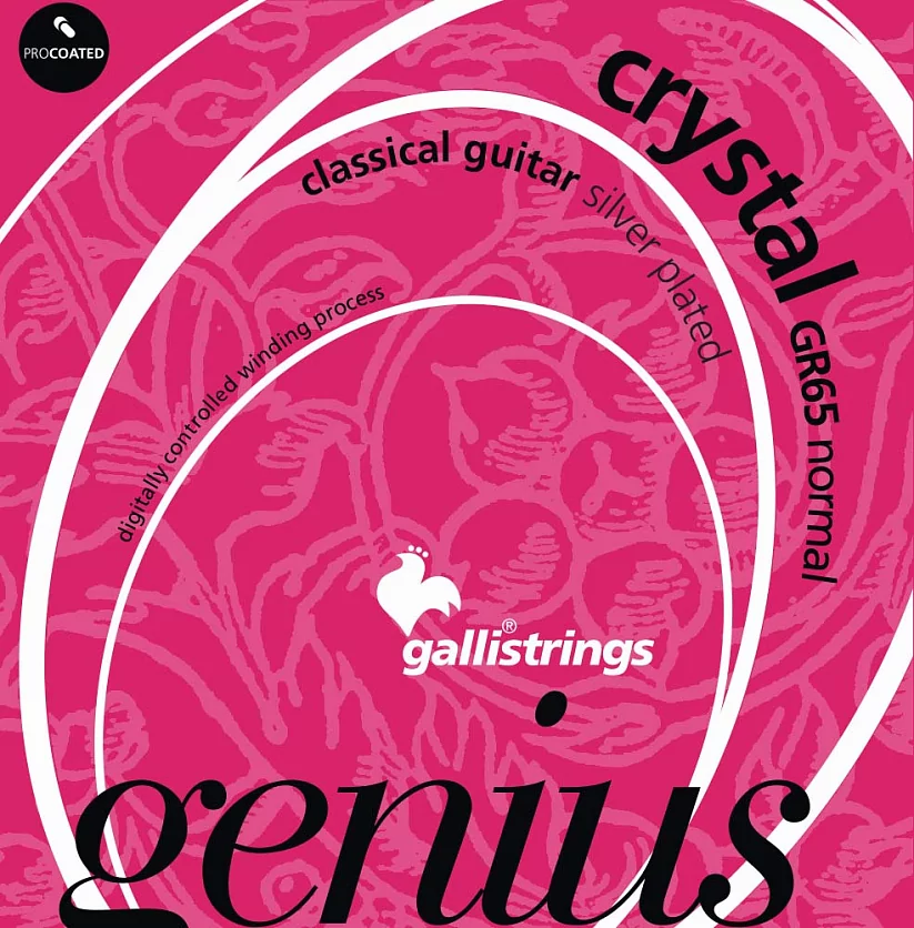 Комплект струн GALLI STRINGS GR65