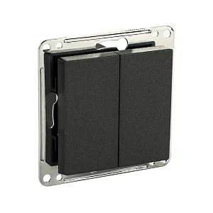 Сценарный выключатель 2-кл, модуль 55х55, Bus77, Графит iRidi DB-00-55-0204