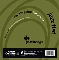 Комплект струн GALLI STRINGS AJF1047