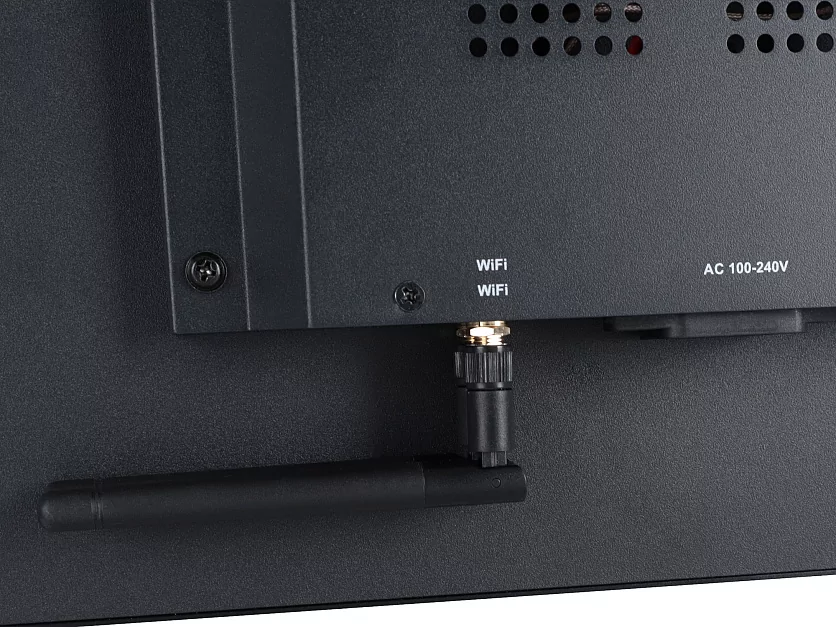 Профессиональный дисплей Lumien PDSBV1NLM43 12