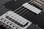 Электрогитара SCHECTER PT EX DORIAN GRAY DG 13