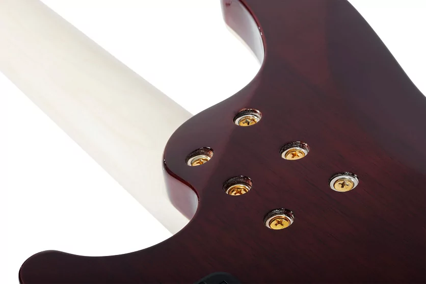 Бас-гитара SCHECTER OMEN EXTREME-5 GNAT 10