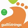 Комплект струн GALLI STRINGS FG018