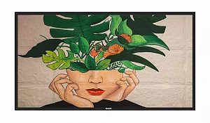 Профессиональный дисплей Philips 75BDL4650D/00