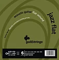 Комплект струн GALLI STRINGS AJF1150