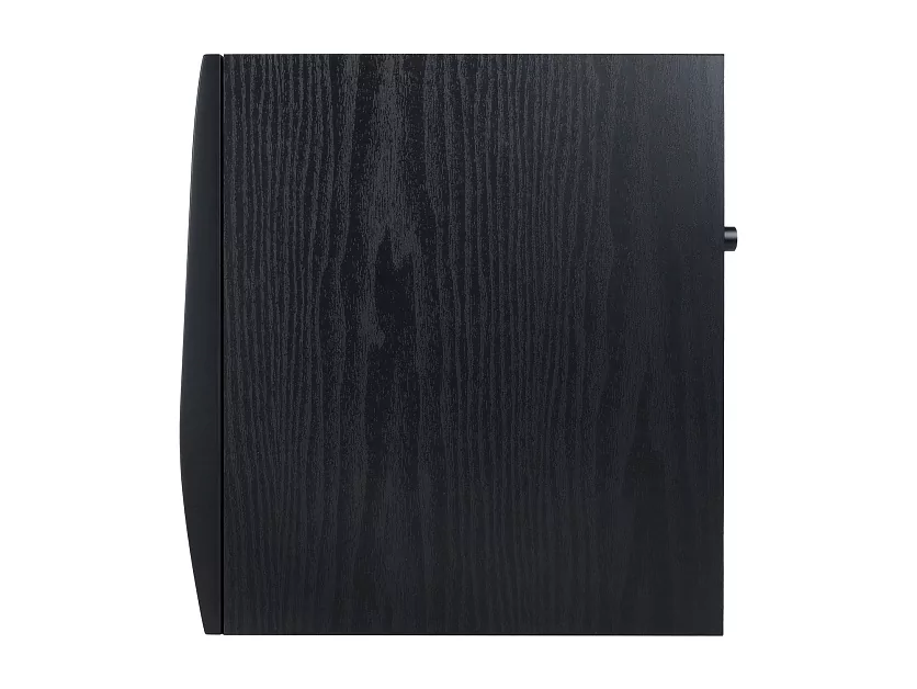 Акустическая система (студийный монитор) Icon DT-5S 4