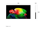 Телевизор LG OLED83B6RLA.ARUG 3