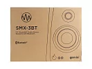 Акустическая система Gemini SMX-3BT 15