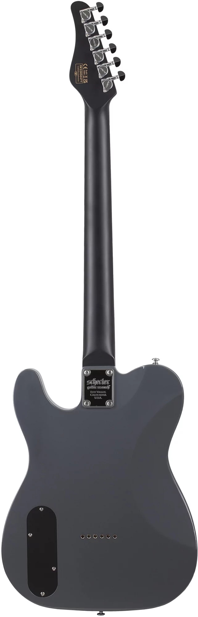 Электрогитара SCHECTER PT EX DORIAN GRAY DG 2