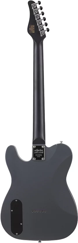 Электрогитара SCHECTER PT EX DORIAN GRAY DG 2