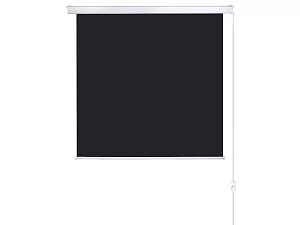 [LMC-100102] Экран с электроприводом Lumien Master Control 4