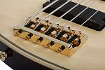Бас-гитара SCHECTER OMEN EXTREME-5 GNAT 13