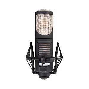 Микрофон конденсаторный sE Electronics RNT 2