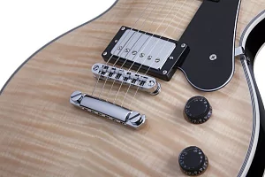 Электрогитара SCHECTER SOLO-II CUSTOM GNAT/BLK 5