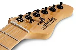 Электрогитара SCHECTER PT M/M BLK 10