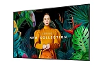 Профессиональный дисплей Samsung QM43C
