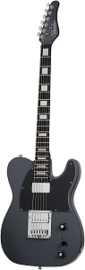 Электрогитара SCHECTER PT EX DORIAN GRAY DG 3